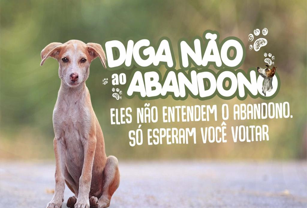 Férias de Julho: Diga não ao abandono de animais - "Eles não entendem o abandono. Só esperam você voltar." Férias de Julho: Diga não ao abandono de animais - "Eles não entendem o abandono. Só esperam você voltar."